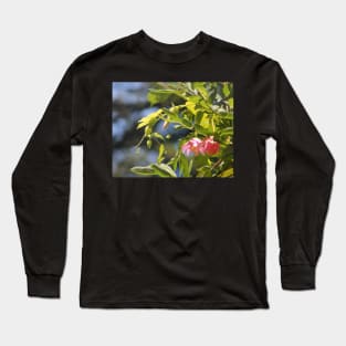 Pink Flowers at Pt Lobos Long Sleeve T-Shirt